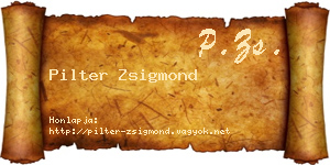 Pilter Zsigmond névjegykártya